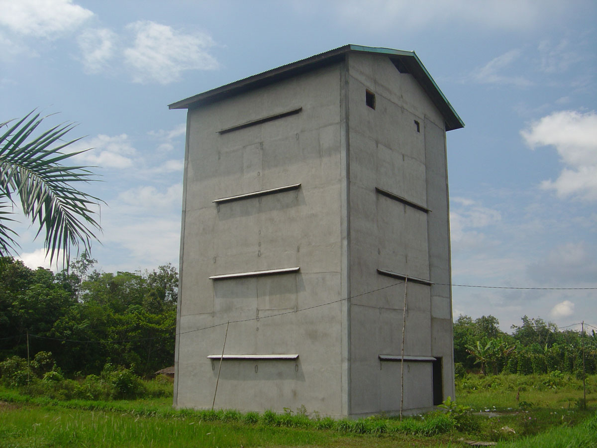 Berapa Standar Tinggi Bangunan Walet Burung Walet Kalimantan