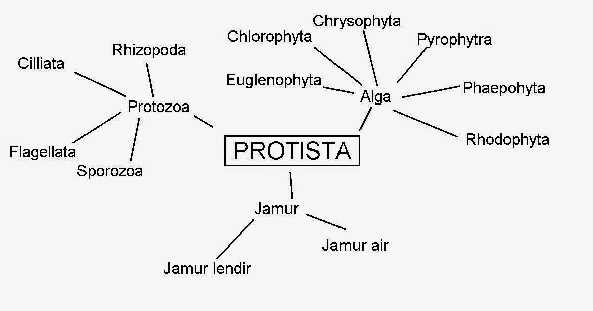 Contoh Jurnal Biologi - Gontoh