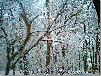 2012-02-19_17-18-11_546