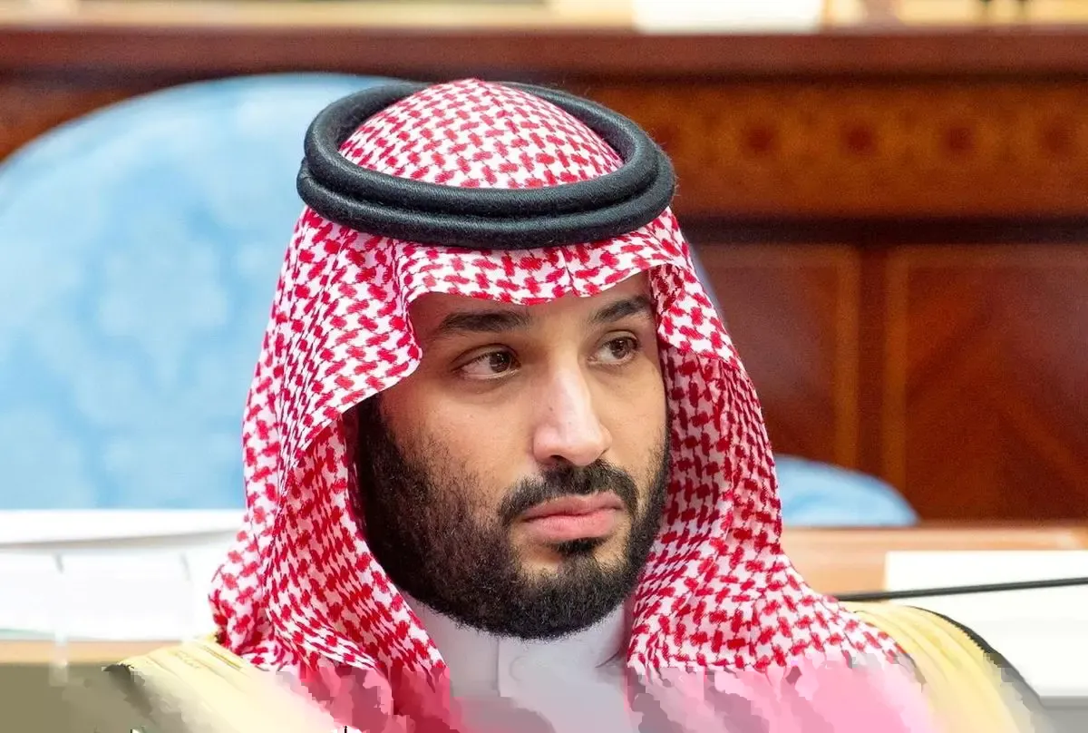 المملكة العربية السعودية تخطط لإنشاء خطوط جوية وطنية جديدة مع تنويعها من النفط