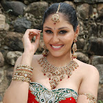 Pooja Chopra Hot Photos from Rajakota Rahasyam