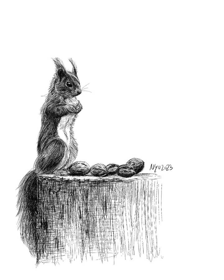 10-The-red-squirrel-Animal-Drawings-Nuria-Lluch-www-designstack-co
