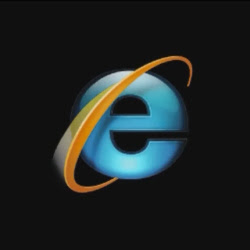 win IE 8 Logo