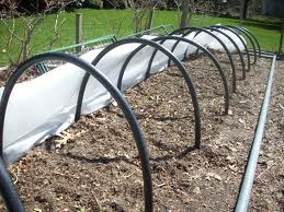 Low Plastic Tunnel -Protected Agriculture Technique