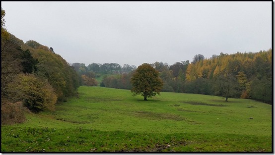 0410viewbacktomeadow