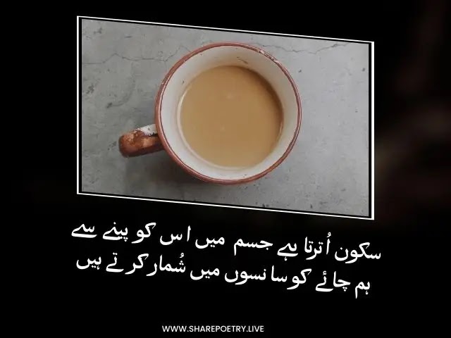 chai Shayari ,Tea Lover Poetry In Urdu &Hindi