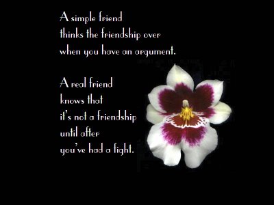 valentine's day latest friendship day quotes in pictures