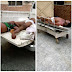 Tramadol: 3 FUTO Students Die During Sex Romp With 1 Female Student
