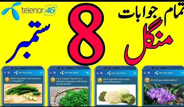 My Telenor Today Questions and Answers