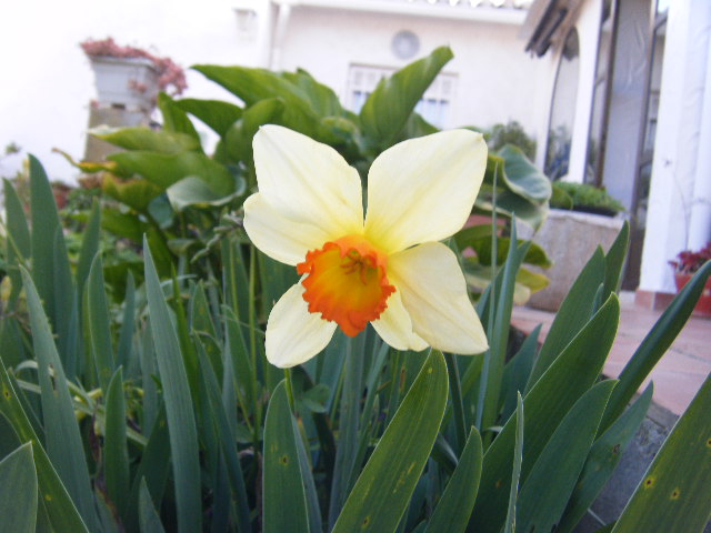 2010_03140001.JPG