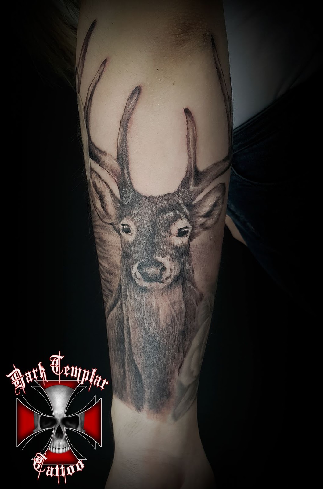 Deer head set. Black and white vector illustration for tattoo. 25877141  Vector Art at Vecteezy