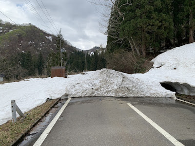 雪で塞がれた国道352号