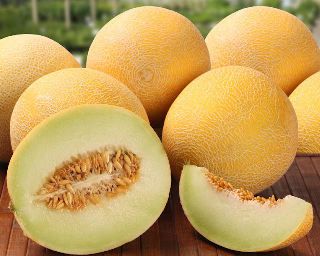 muskmelon