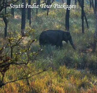 South India Tour packages