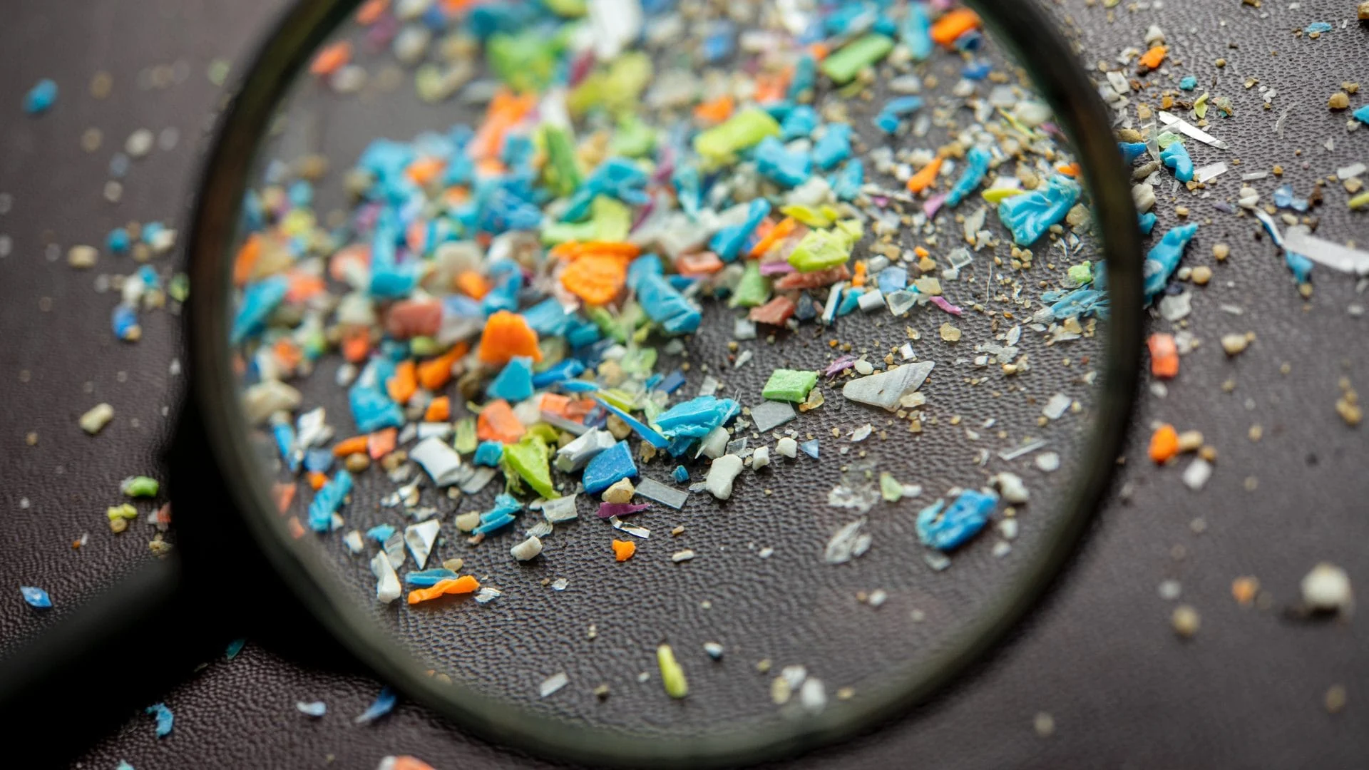 A Future Free of Microplastic Pollution