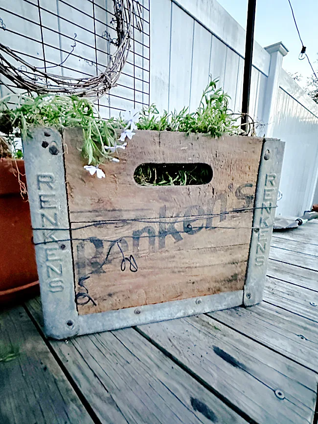 wooden crate with flowers