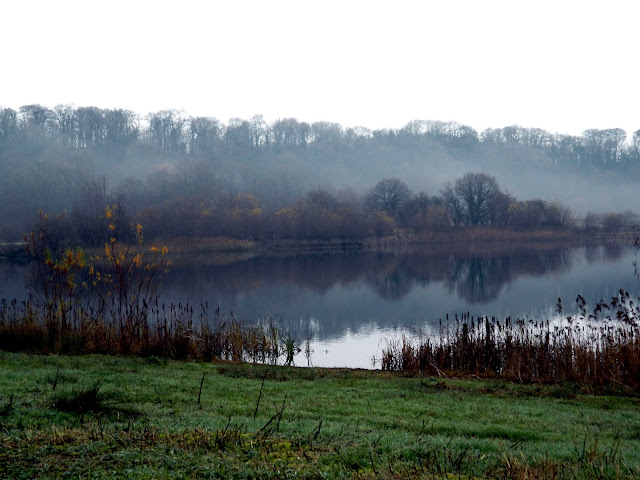 Brockholes in December 2018