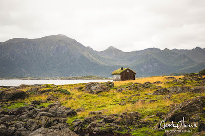 découverte îles Lofoten Vesteralen stade foot plus célèbre suite voyage