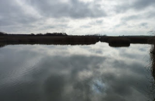 Las Tablas de Daimiel, provincia de Ciudad Real.