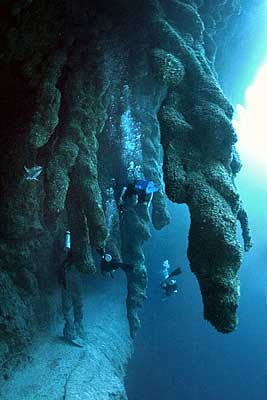 Diving the Great Blue Hole,