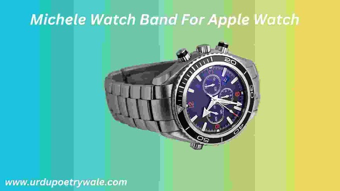  Michele Watch Band For Apple Watch