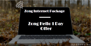 Zong Hello 1 Day Offer