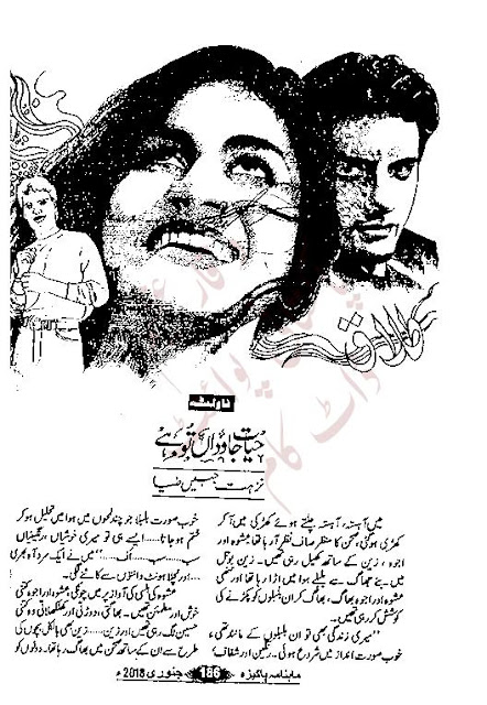 Hayat javidan tu hai novel by Nuzhat Jabeen Zia