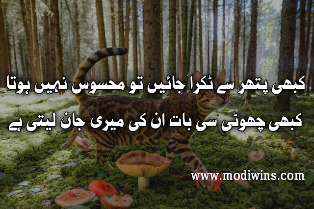 deep poetry rain quotes, deep love poetry quotes, deep love poetry for him in urdu, life deep poetry quotes, deep dark poetry quotes, deep underground poetry, deep english poetry, deep life poetry, best deep poetry, deep emotion poetry, deep beautiful poetry, deep slam poetry, alone deep poetry, deep beautiful love poetry tumblr, deep poetry in urdu text, deep poetry lines, deep sad poetry in urdu, poetry in urdu 2 lines deep, deep love poetry in urdu sms, deep poetry in english, allama iqbal deep poetry, deep bulleh shah poetry, deep allah poetry in urdu, deep punjabi poetry, deep poetry in hindi, deep image poetry, deep sufi poetry in urdu,