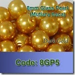 8GP5 copy