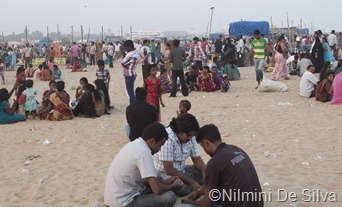 2013 01 06 Chennai JPEGS (14 of 16)