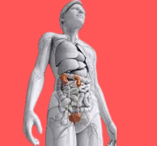 What causes kidney damage