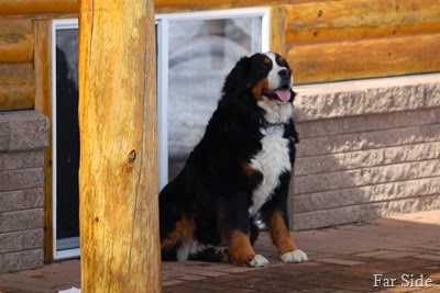 Odda Waiting
