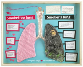 Healthy Lungs vs Smokers Lungs Photos | Quitting smoking tips