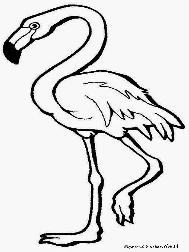 Mewarnai Gambar  Burung  Flamingo  Mewarnai Gambar 