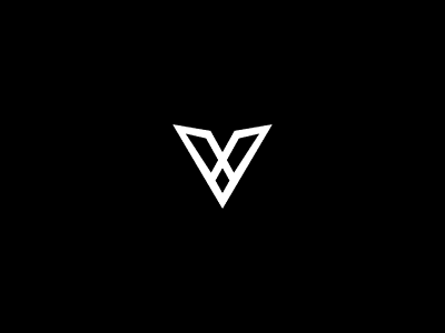 Letter V Wing Concept Logo