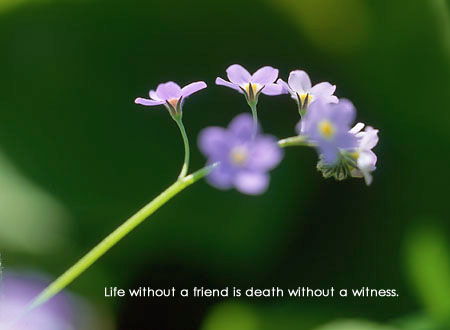 quotes on life. Life without a friend is death