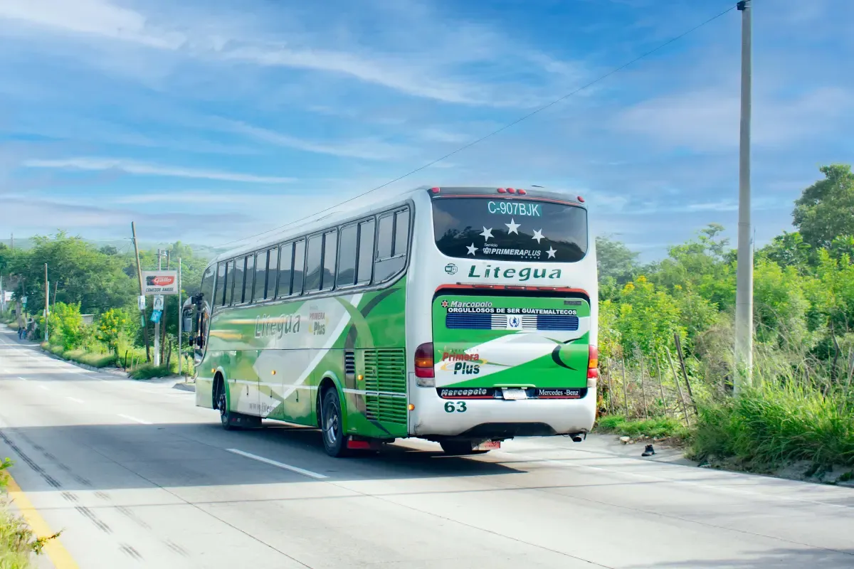ônibus mercedes-benz na cor verde vista traseira