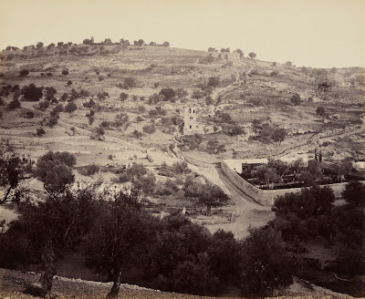 Fotografías antiguas de Palestina