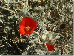 IMGA0013