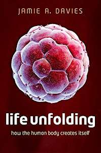 Life Unfolding: How the human body creates itself