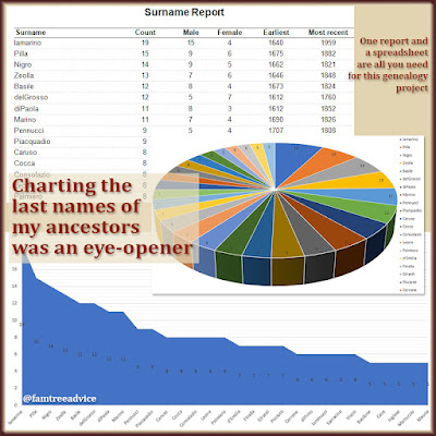 Once your ancestral last names are counted, Excel makes it easy to show your family tree composition in a colorful chart.