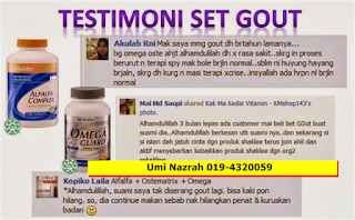 Kelebihan dan Testimoni Omega Guard Shaklee Untuk Sakit Gout