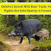 Odisha’s Secret Wild Boar Trade: How Piglets Are Sold Openly in Forests