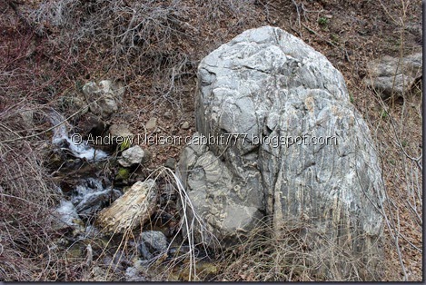 IMG_2388 IMG_2388