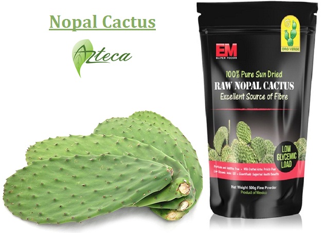 http://www.naturalproductsazteca.com.au/product/raw-nopal-cactus-powder/