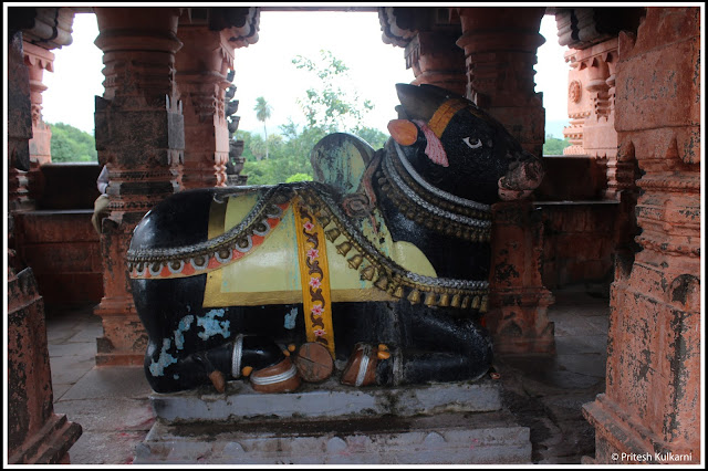 Nandi at Sangameshwar Temple, Saswadi