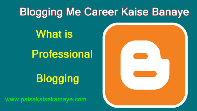 Blogging Me Career Kaise Banaye  What is Professional Blogging