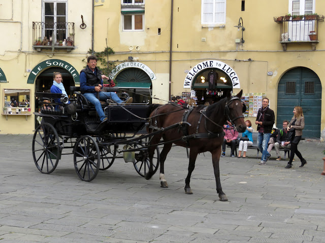 Horse-drawn carriage, Piazza dell'Anfiteatro, Lucca