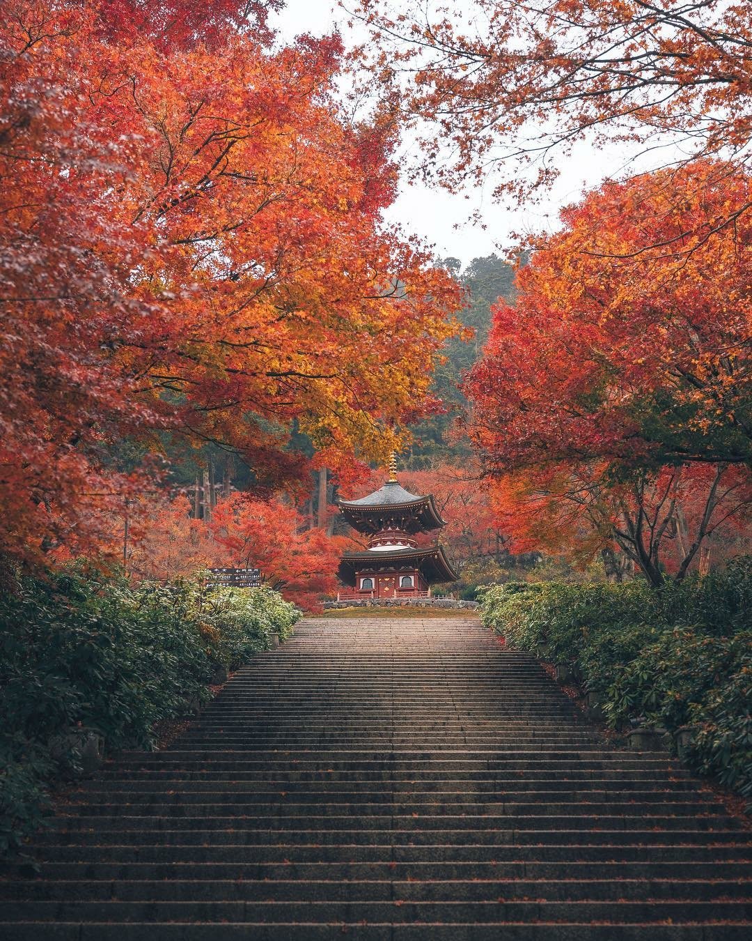 日語中含有 目 的慣用語 日文輕鬆學