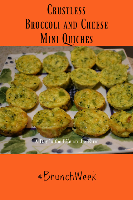 mini quiche pin